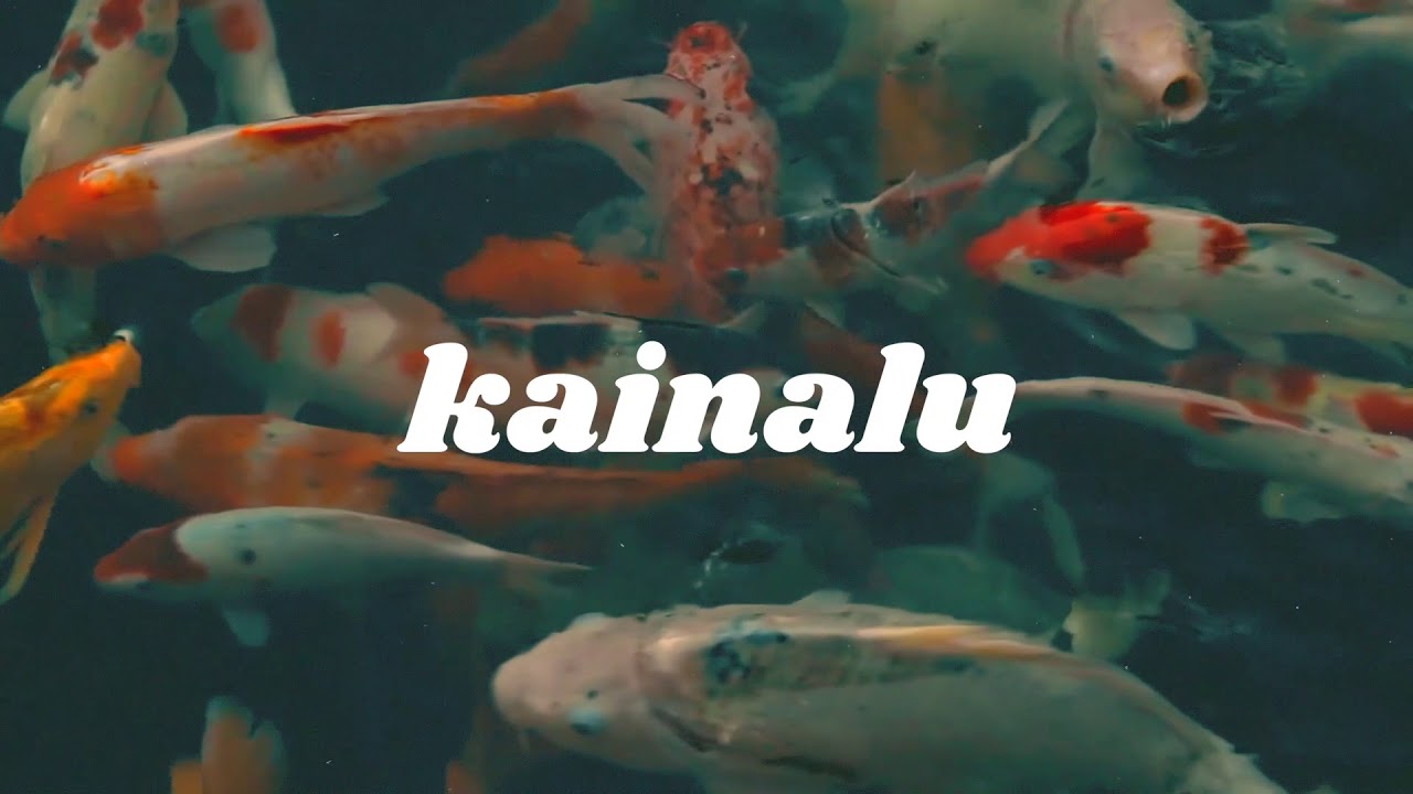 Kainalu &loz; Folds Like Origami [Official Audio]
