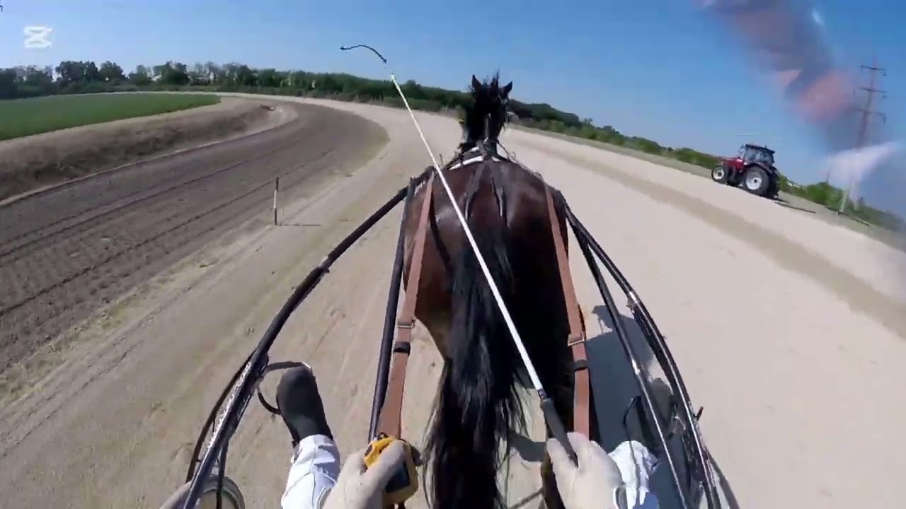 Sunshine Cicardi I.mesto Trka 