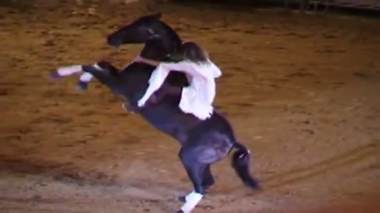 Kenzie Dysli mit James Americana 2010 Abendshow