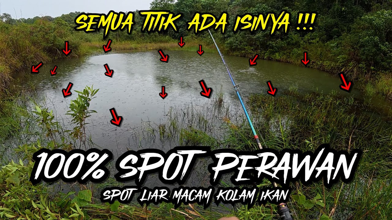 TIDAK SETIAP HARI BISA KETEMU SPOT PERAWAN SEPERTI INI !!! IKANNYA  MACAM LAGI KONDANGAN