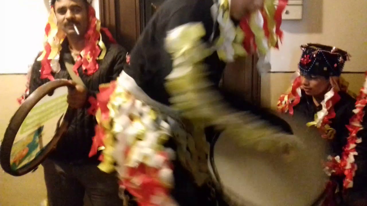 Ursul din Pacurari  Iași  2017