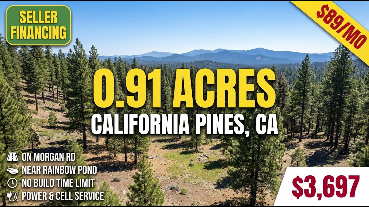 JUST $3,697 - 0.91 Acre For Sale in California Pines, CA | ON MORGAN RD | Seller Financing! 24076