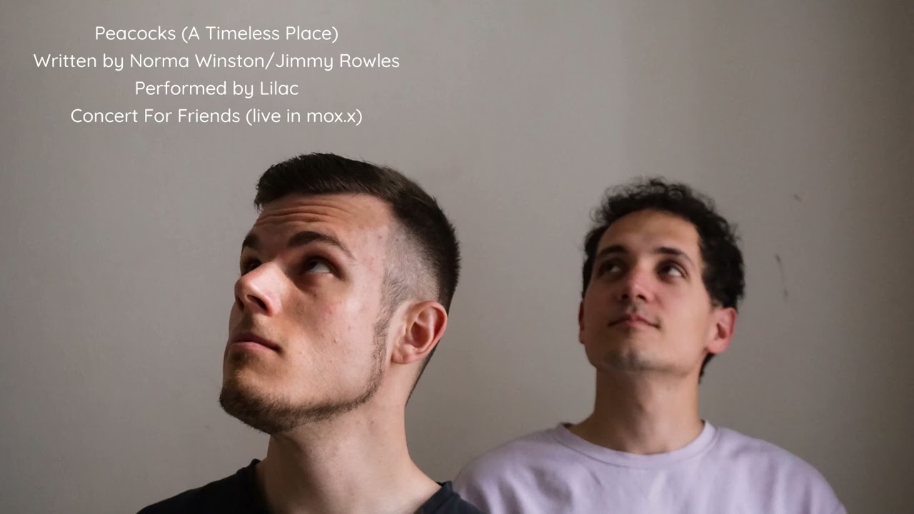 Lilac / Concert For Friends (live at mox.x) /Peacocks (A Timeless Place)