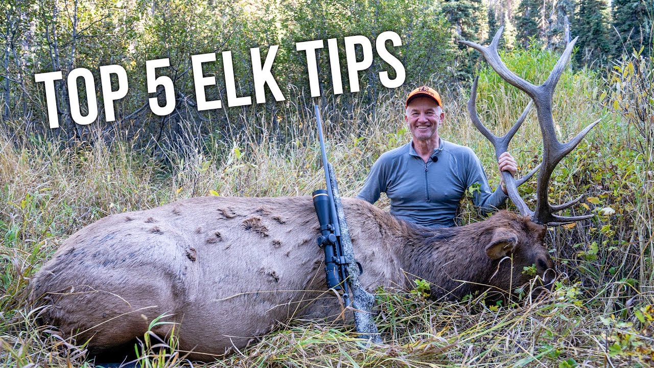 Randy&rsquo;s 5 Biggest Tips for Rifle Elk Hunting Success