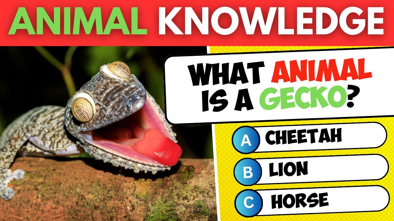 How Good Is Your Knowledge of ANIMALS ? 40 General Knowledge Questions about Animals