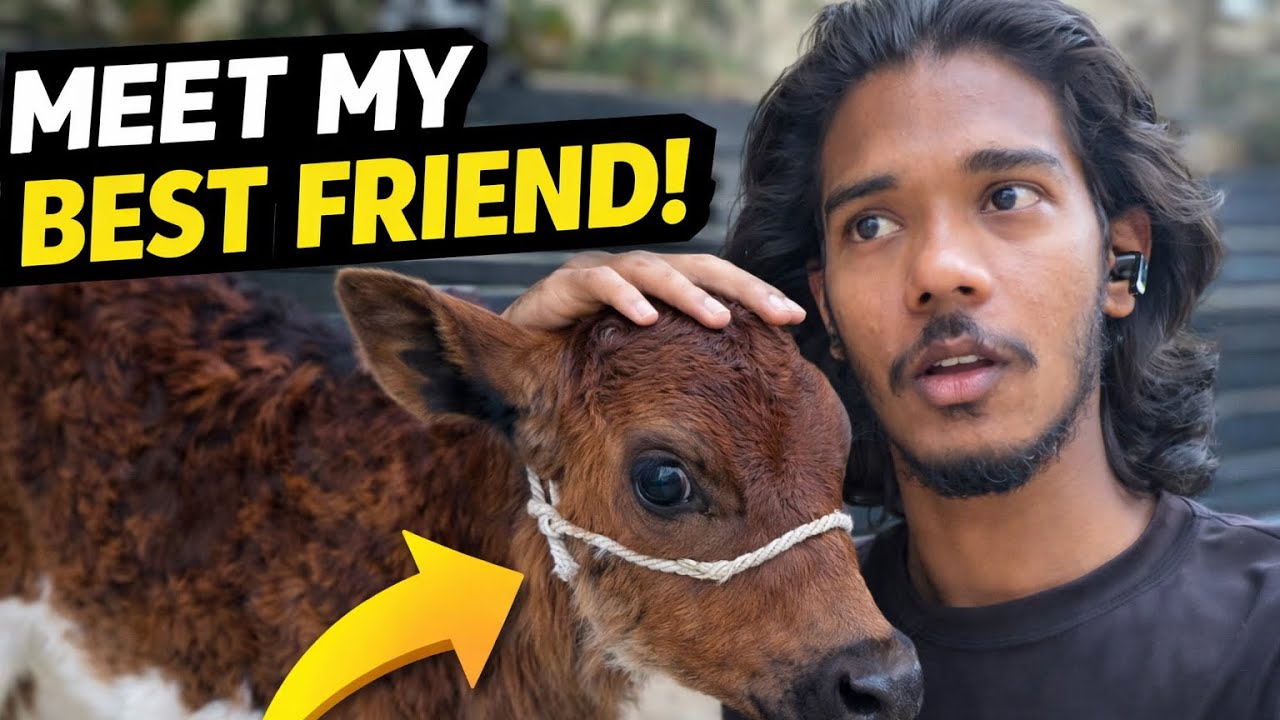 Meet my best friend ☺️ | cow se dosti ho gayi ☺️ | vlog - 182