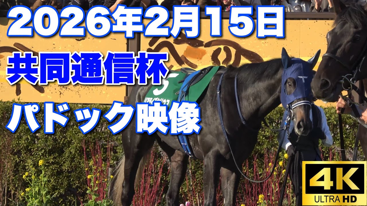 【4K動画】2026年共同通信杯パドック【リアライズシリウス】