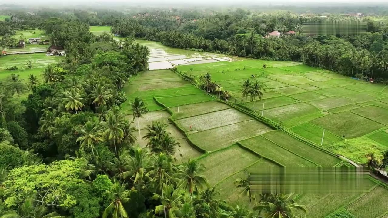 Agriculture in Tamil Nadu: Key Facts