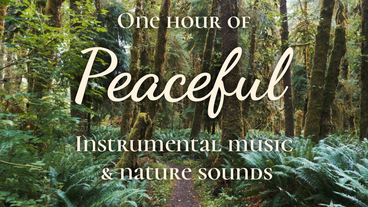 One Hour of Peaceful Instrumental Music | Taryn Harbridge