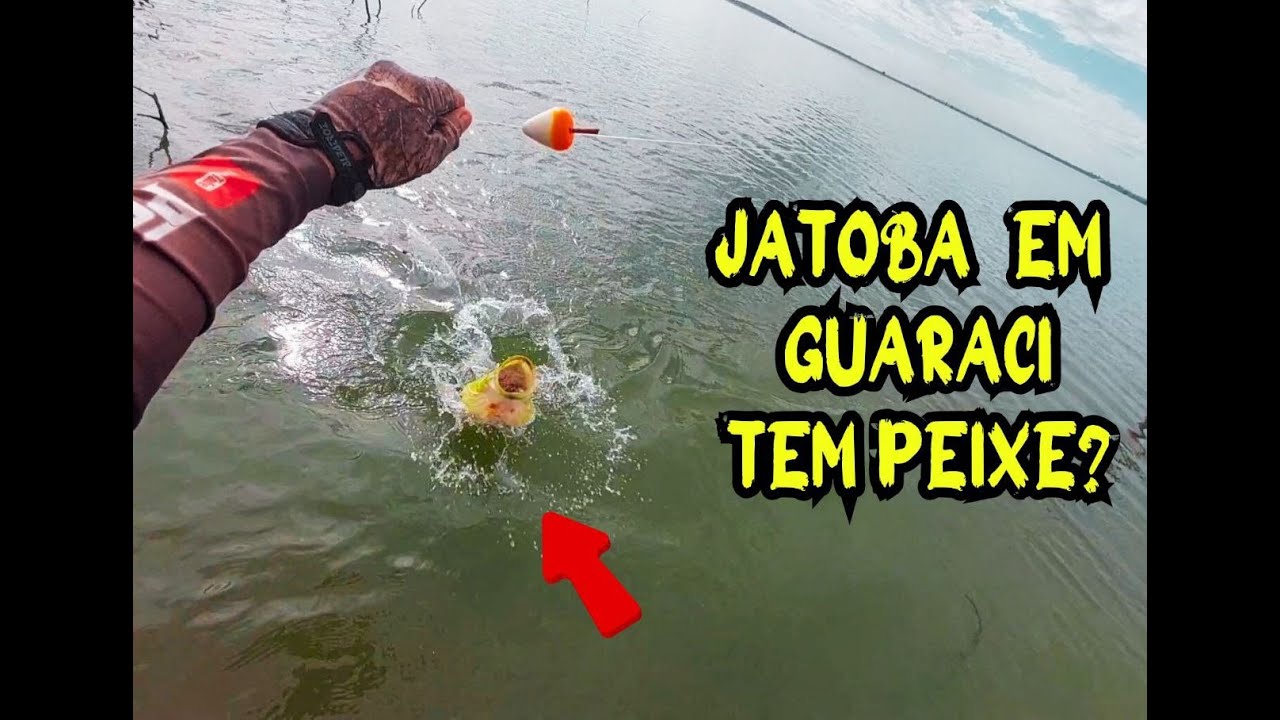Pescaria no Jatoba em Guaraci SP, aprenda o caminho e veja como foi #pescaria #peixes