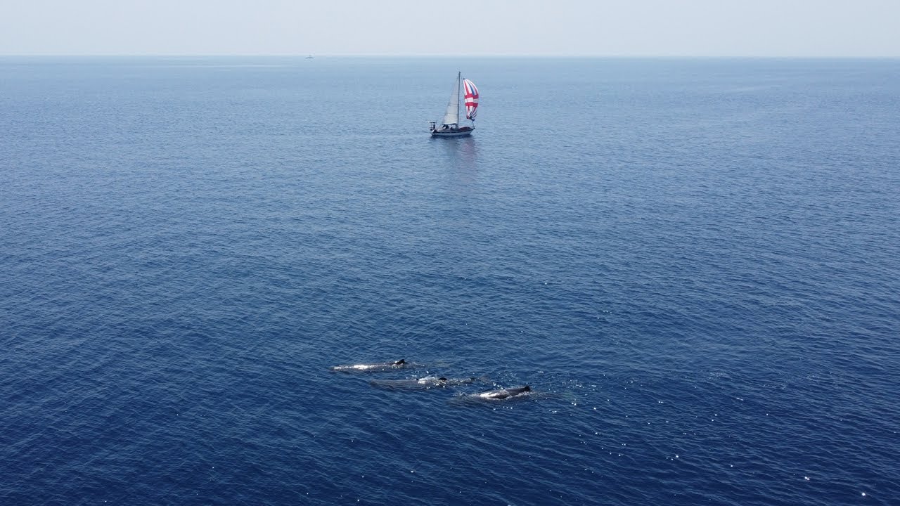 THE WHAT NOT TO DO SAILING CHANNEL - Crossing the Messina Strait