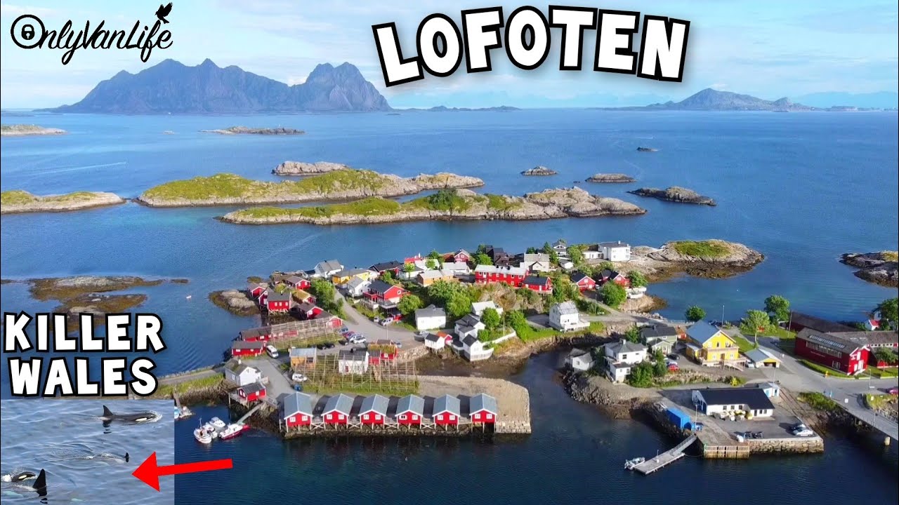 Lofoten all the highlights, I saw killerwales ! #140
