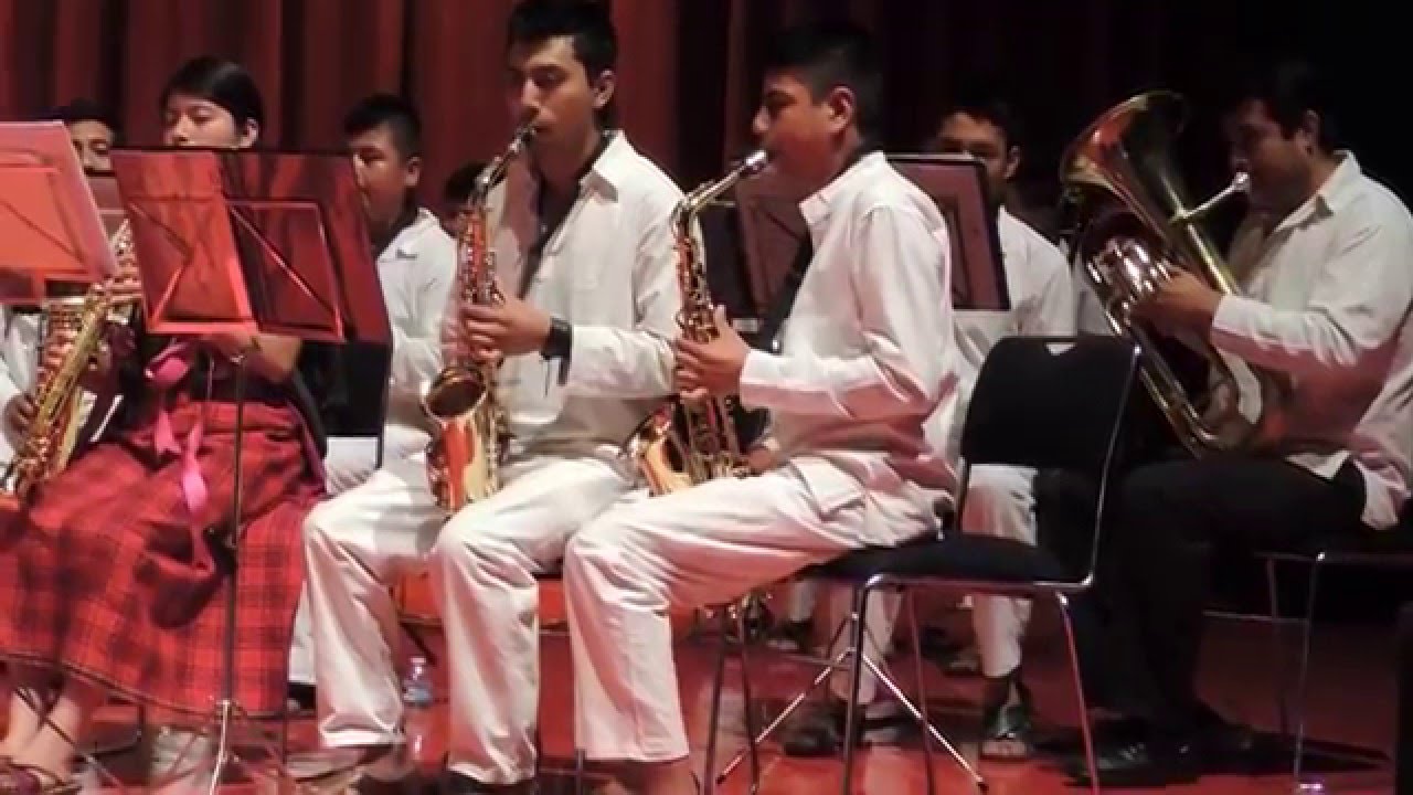 Ave Pasajera, Chilena  Martín Hernández Hernández