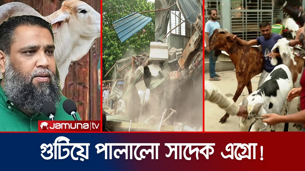উচ্চ বংশীয় গরু-ছাগল বিক্রেতা সাদেক এগ্রোর বাহাদুরি শেষ! | Sadek Agro | Jamuna TV