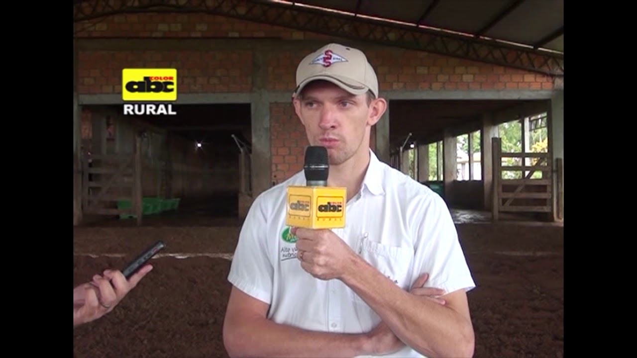 Camas  de  compost para vacas lecheras