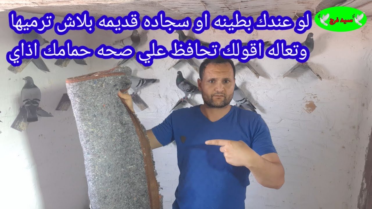 عندك بطنيه او سجاده قديمه بلاش ترميها لو ارضيه العشه عندك خرسانه افرشها احمي الحمام من جميع الامراض