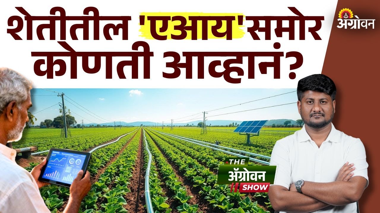 AI In Agriculture :  भारतात एआयच्या वापरासमोर कोणत्या आहेत अडचणी? | Agrowon