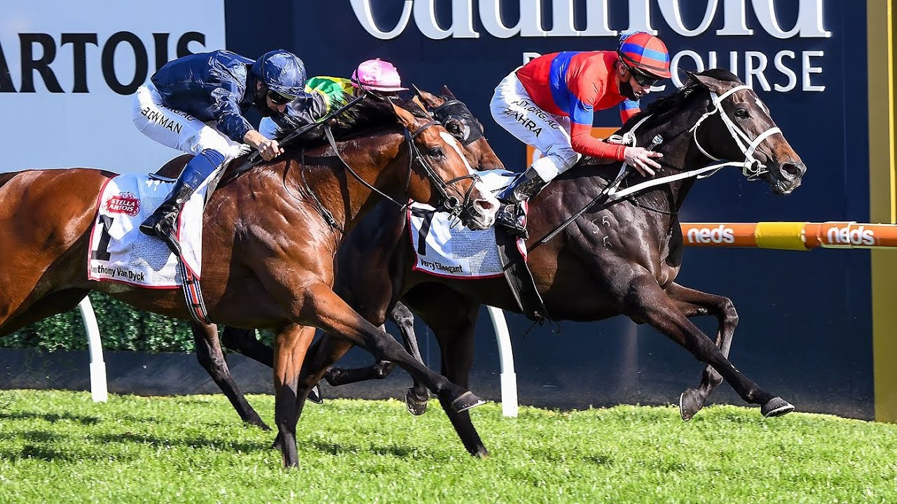 Calling the 2020 Caulfield Cup!