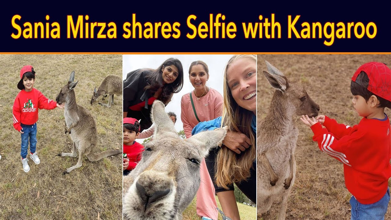 Sania Mirza shares adorable selfie with kangaroo on Instagram - Sania With Kangaroo