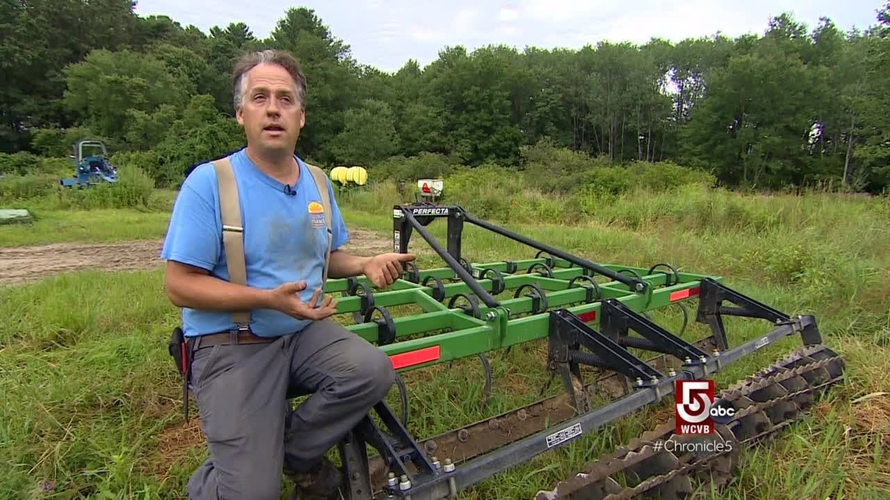 How food gets to your plate