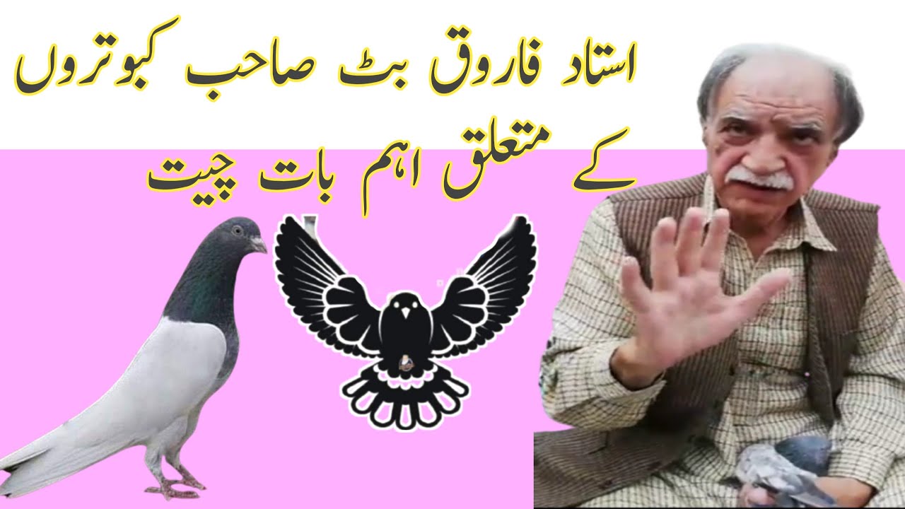 Ustad Farooq Butt talks about pigeons