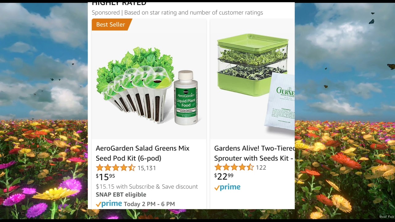 Snap EBT Non Food Eligible Items on Amazon