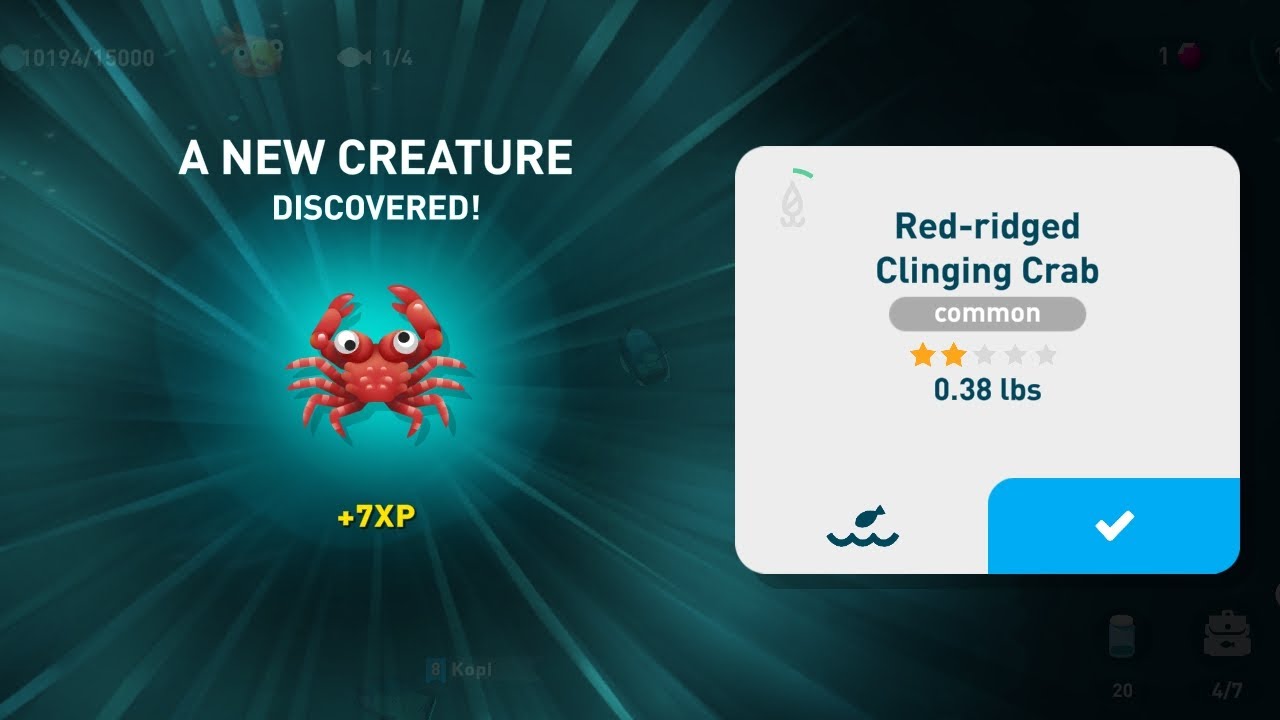 creatures of the deep - red-ridged clinging crab