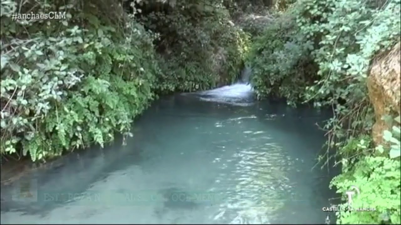 Charco Pataco de Letur