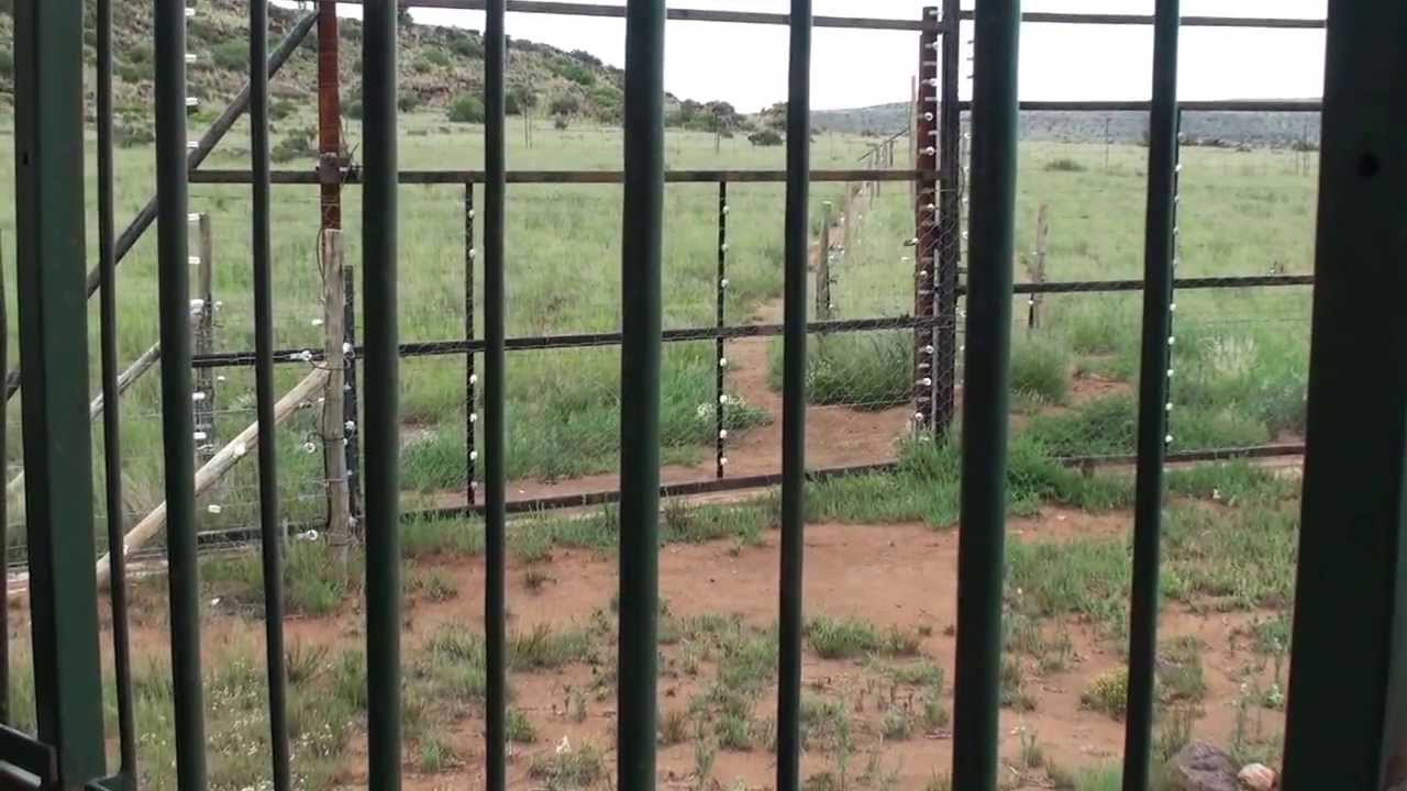 Tiger Canyons - JV telling about Corbett's attack