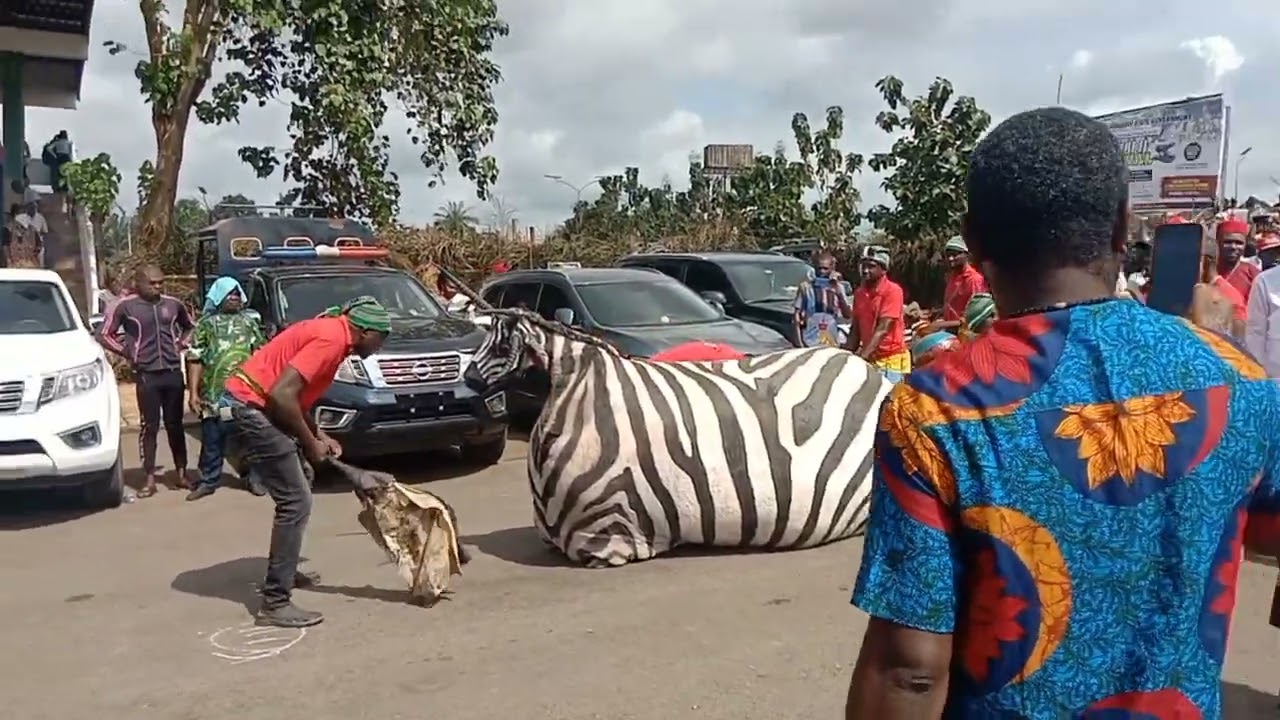 Anambra State New Yam Festival  ( Iri Ji )