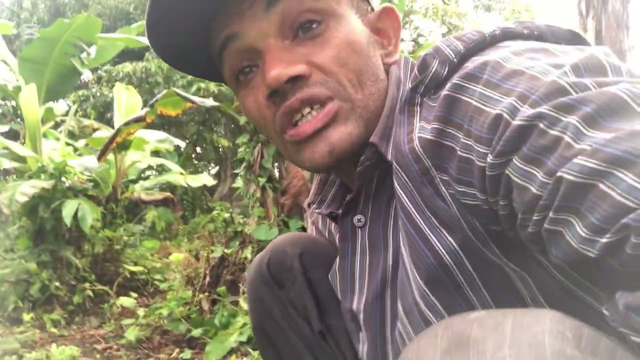 El señor Jacinto sembrando silantro ancho#