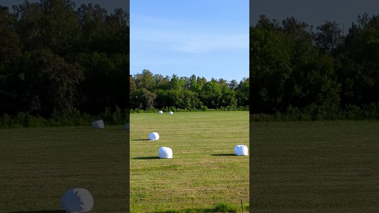 A field on &Ouml;land