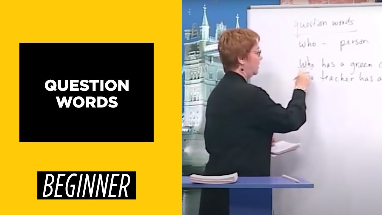 Beginner Level - Question Words | English For You