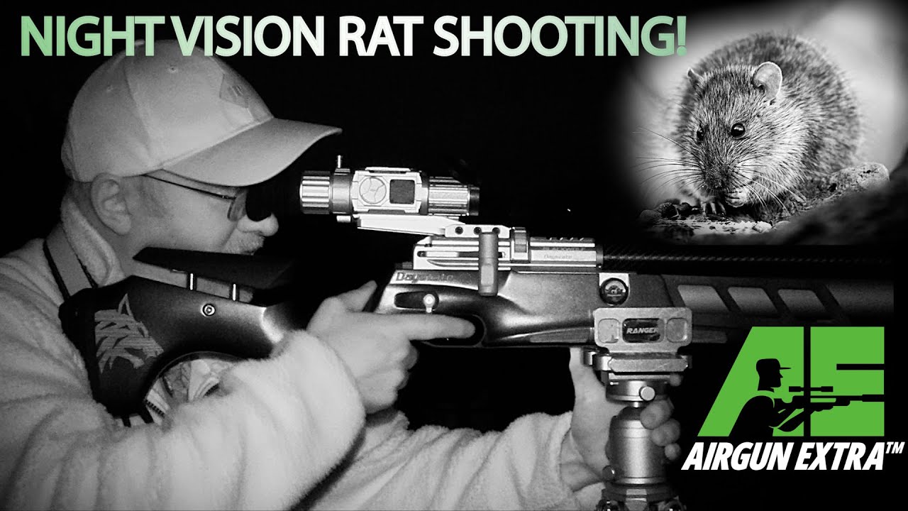 Airgun Extra | Night rat shooting with DNT Zulus V2 | Nextool multitool review