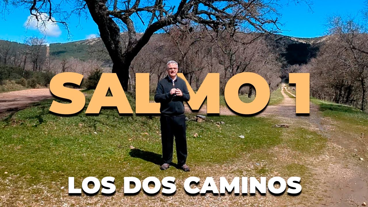 SALMO 1: Los dos caminos