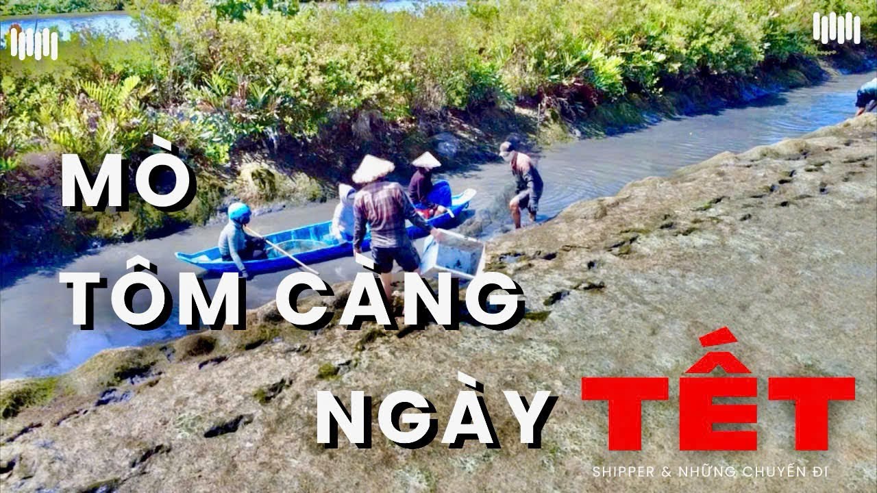 Trải Nghiệm Bắt Tôm Càng Xanh Ngày Cận Tết | Cuộc Sống Miền Quê