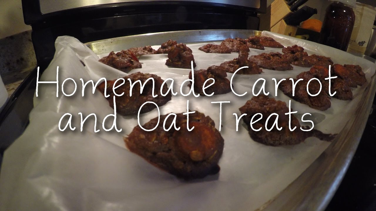 SmartRecipe: Homemade Carrot and Oat Treats