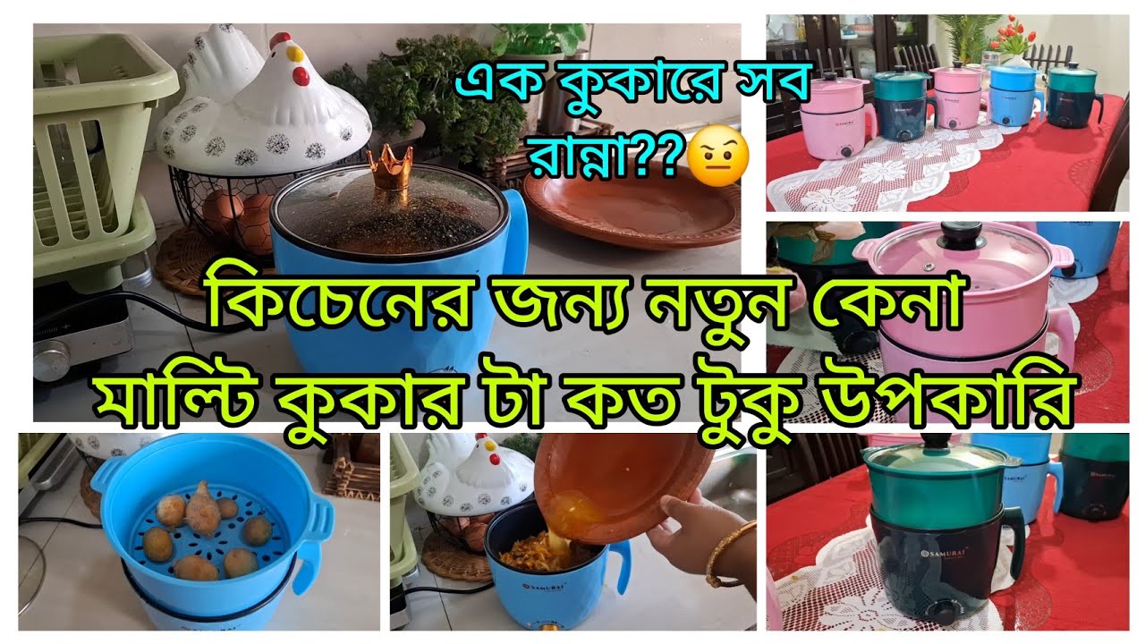 কিচেনের জন্য মিনি মাল্টি কুকার কত টুকু উপকারী?সত্যিই কি সব কিছু রান্না করা যায়?