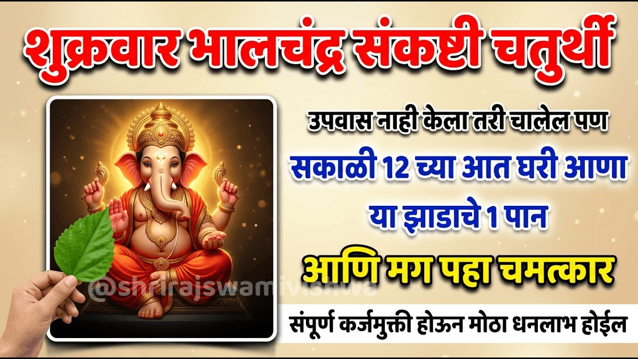 शुक्रवार संकष्टी चतुर्थी | सकाळी १२ पूर्वी घरी आणा हे पान | कर्जमुक्ती होऊन धनलाभ होईल 💰