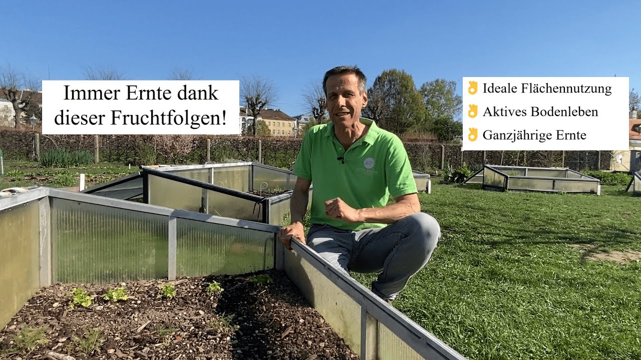 3 Fruchtfolgen für eine ganzjährige Ernte 🌻bessere Flächennutzung, mehr Vielfalt & keine Beetlücken