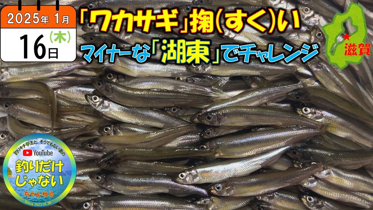【ワカサギ掬い（琵琶湖）】マイナーな湖東地域で勝負！2025年1月16日。思わぬ大漁に夫婦が狂喜乱舞！