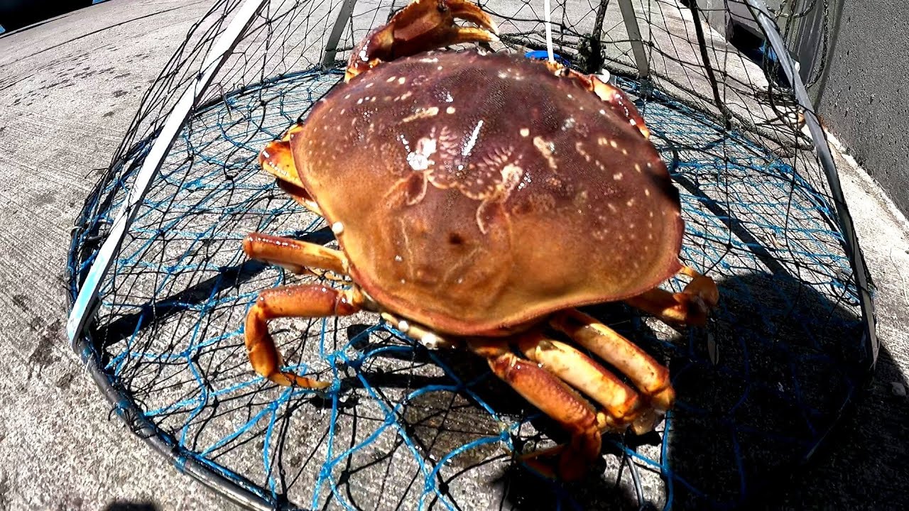 Crabbing @ Pacifica Pier | CRABBING SEASON