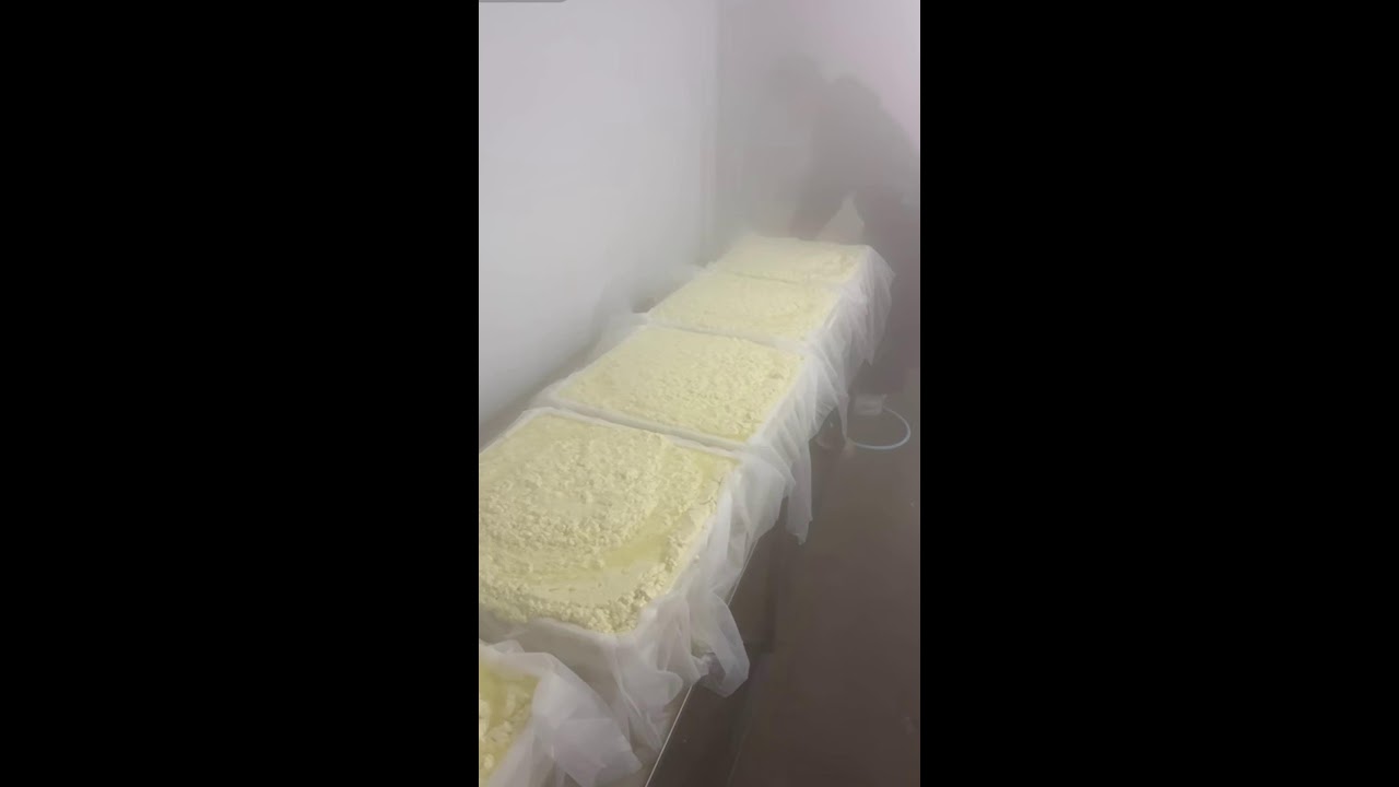 TOFU Making🔴LIVE🔴with Hongjunsheng Tofu Workshop