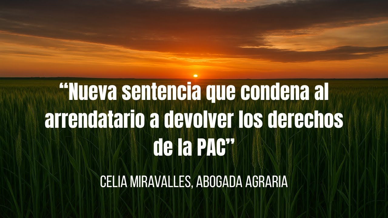 “Nueva sentencia que condena al arrendatario a devolver los derechos de la PAC”