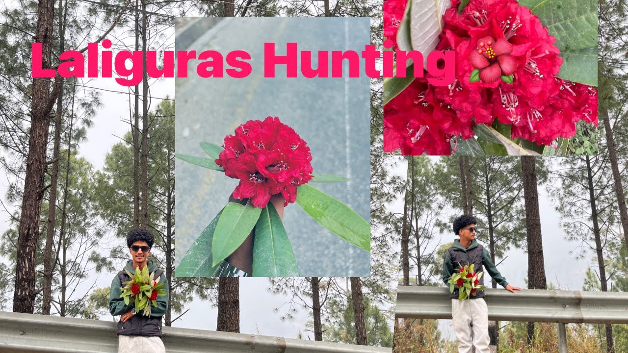 Laliguras hunting ma 🌺 khandada tira chaldeko ☮️✌🏽 