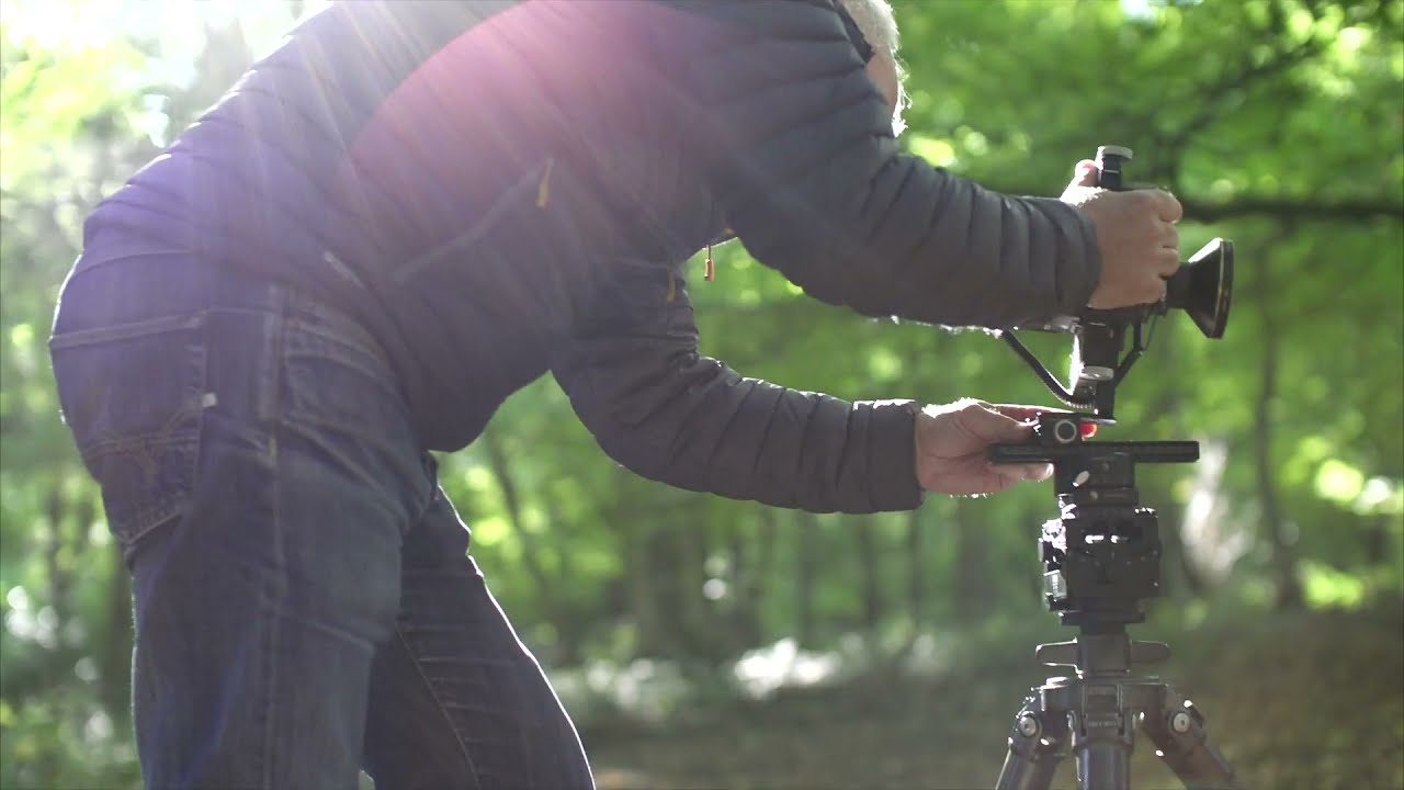 My Inspiring Moments: The Power of Photography