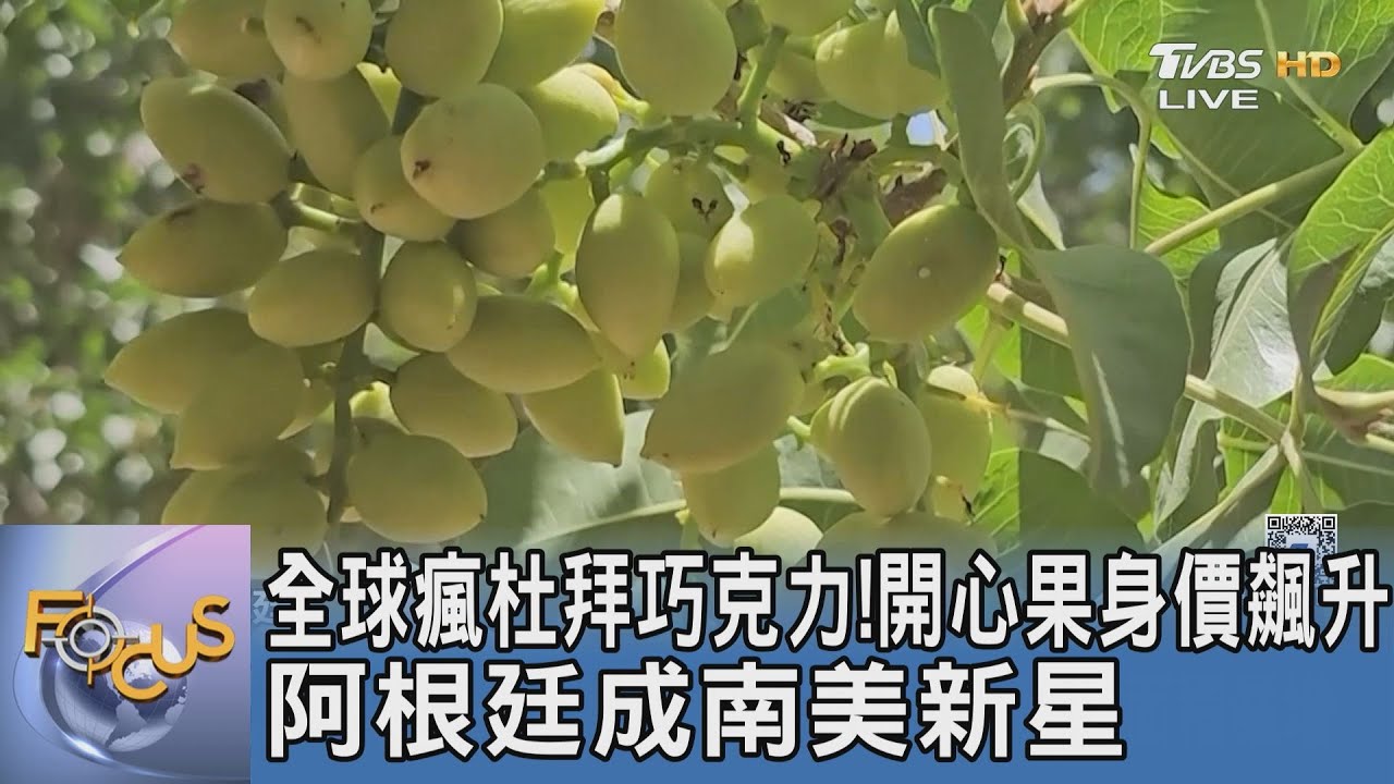 全球瘋杜拜巧克力!開心果身價飆升 阿根廷成南美新星｜FOCUS午間新聞 20251223 @tvbsfocus