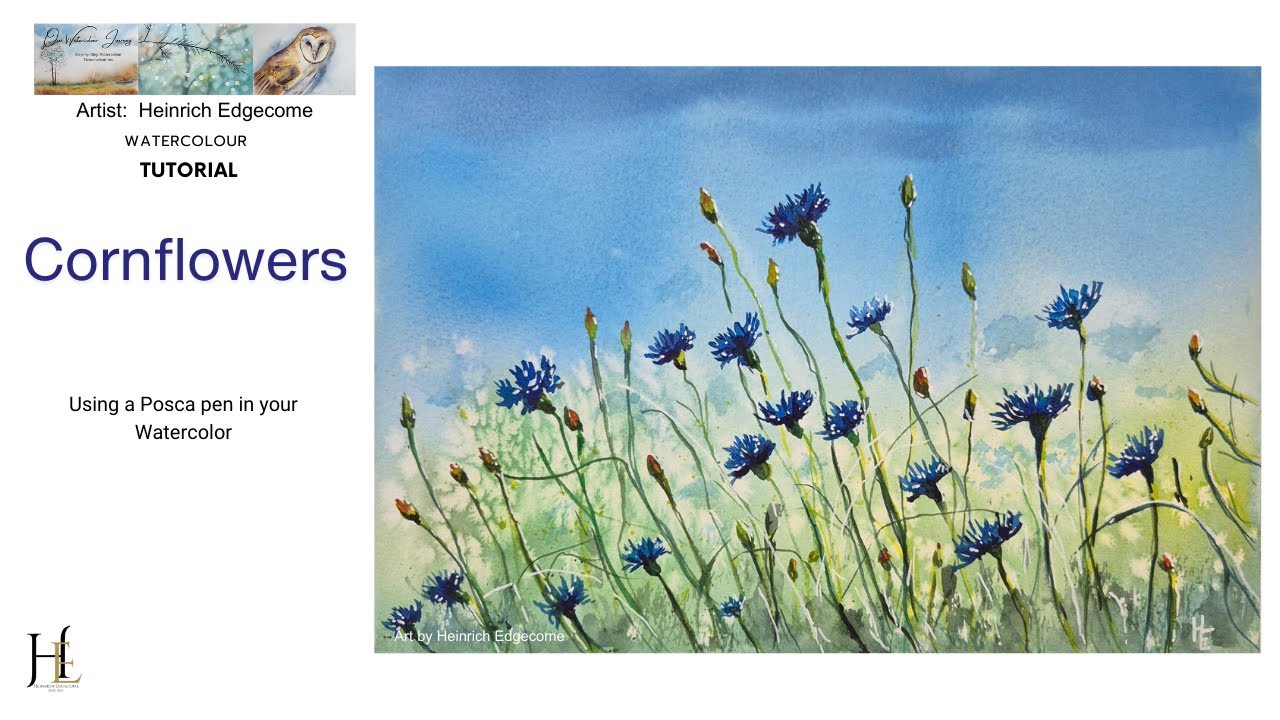 How to paint these beautiful Cornflowers in watercolour