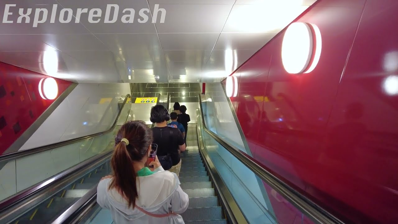 [4K Singapore MRT Walk] Orchard MRT NS22 to TEL TE14 | Orchard Station Interchange Walk
