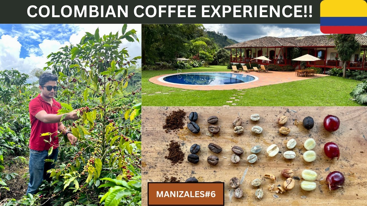 COLOMBIAN COFFEE EXPERIENCE🇨🇴